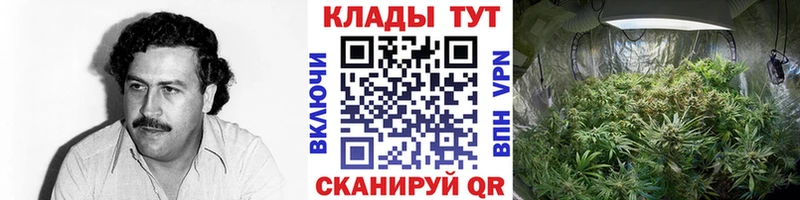 Наркошоп купить А ПВП  Канабис  МЕФ  ГАШИШ  Кокаин  Нерчинск