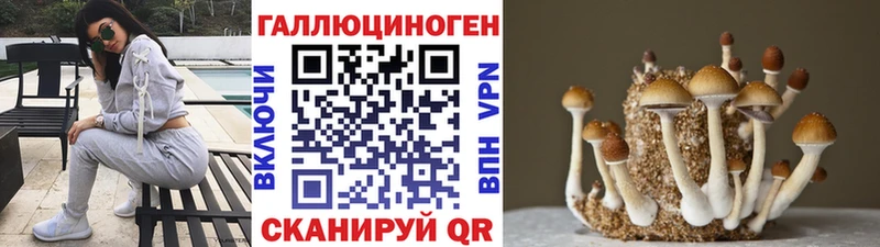 Купить  Нерчинск  Галлюциногенные грибы Magic Shrooms 